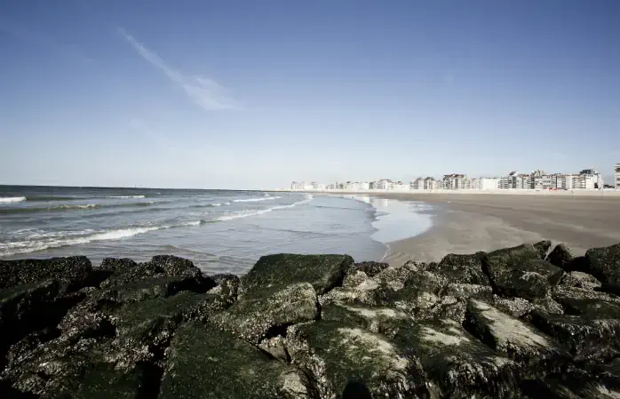 Hôtel sur la côte belge - Vue sur la mer depuis l’Hotel du Soleil de Knokke-Heist