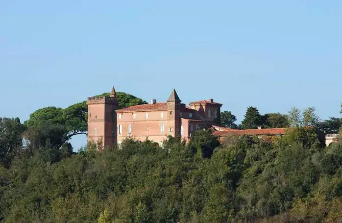 assistez aux spectacles organisés dans l'enceinte du château à Mons pour la fête nationale