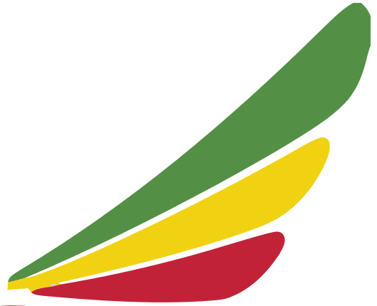 Ethiopian Mozambique Airlines